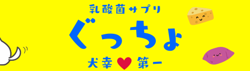 乳酸菌サプリ”ぐっちょ”